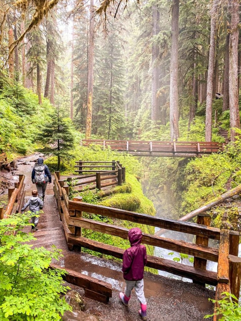 Best Day Hikes In Olympic National Park