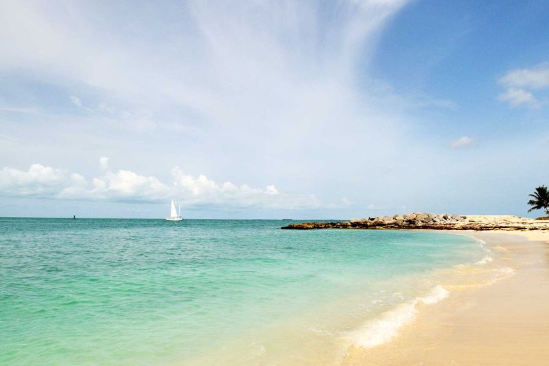Best Dog Friendly Florida Beaches