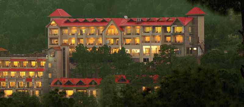 Best Pet Friendly Resorts In Kasauli