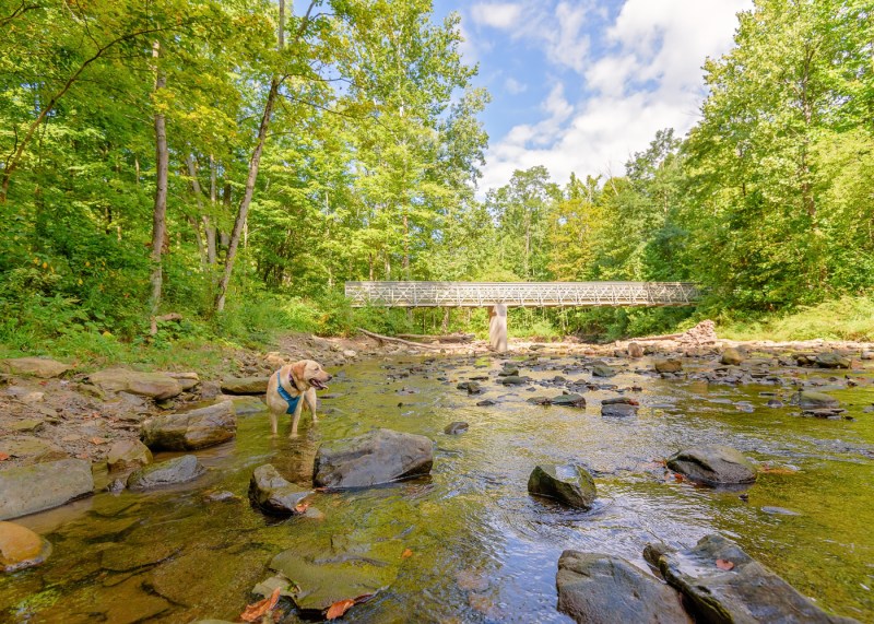 Dog Friendly Vacations Near Ohio