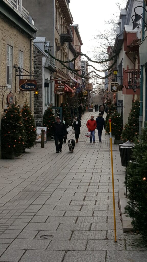 Dog Friendly Vacations Quebec